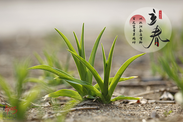 乐动体育(LeDong Sports)官方网站·二十四节气
